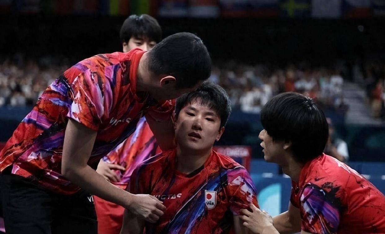 IM Sport-德国乒乓球队横扫比利时乒乓球队，张本智和爆发神勇的简单介绍