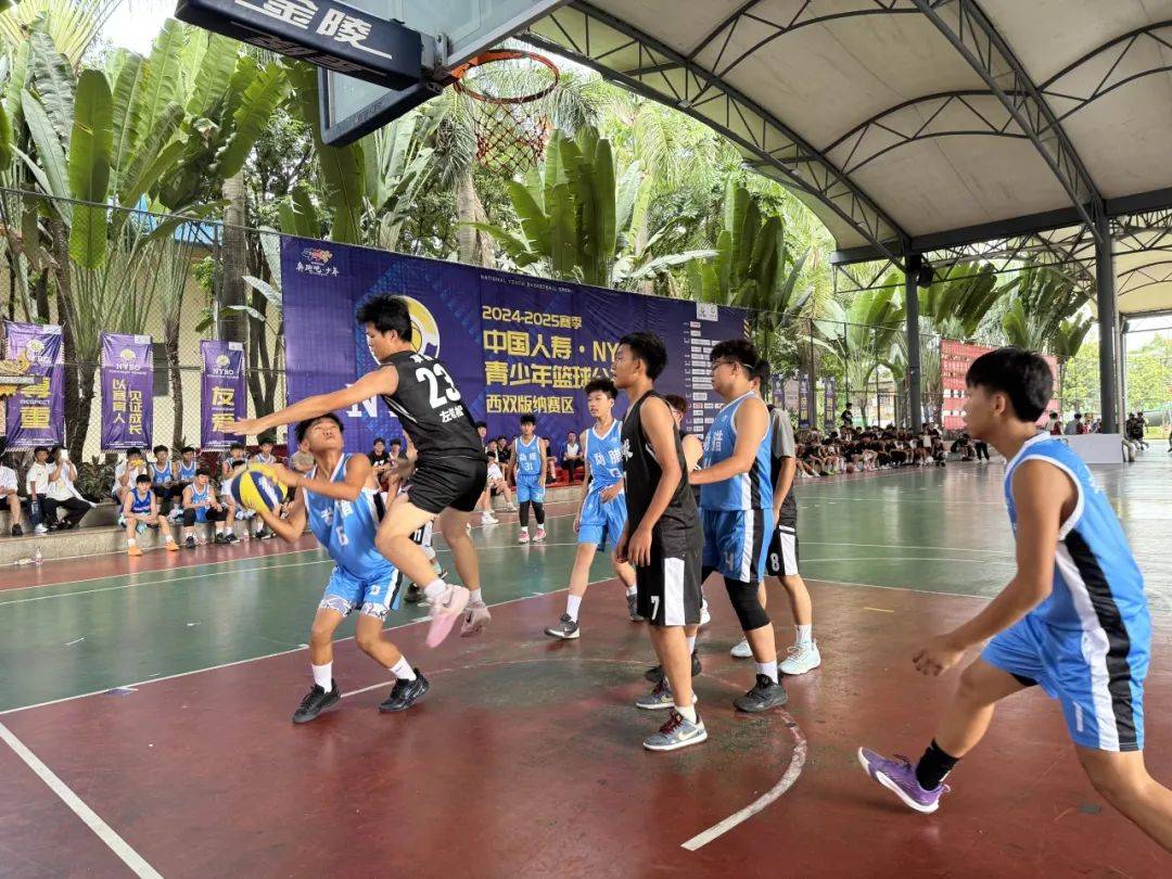 IM体育官方网-青少年篮球比赛蓬勃发展，培养优秀球员的简单介绍