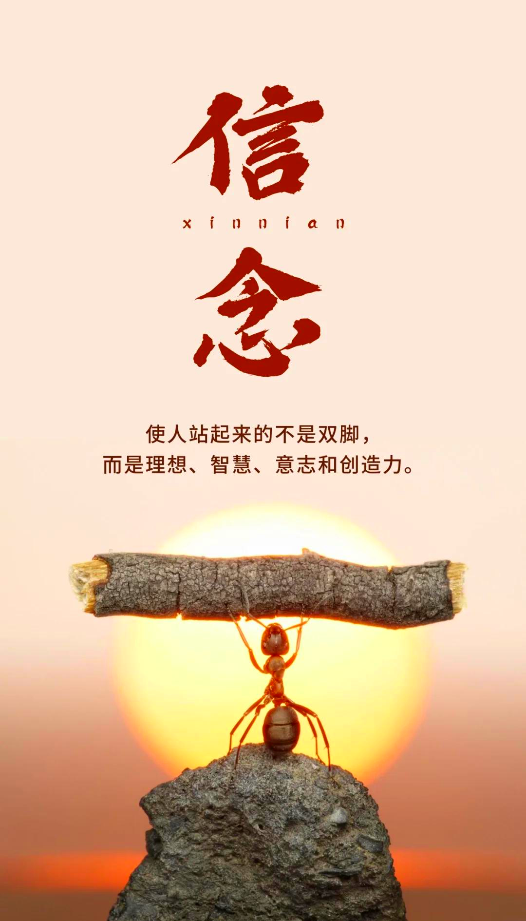 IM体育官方网站-勇往直前,无畏前行的体育精神