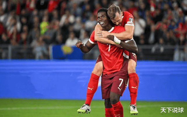 IM体育官网-瑞士队在比赛中表现出勇气与拼搏精神