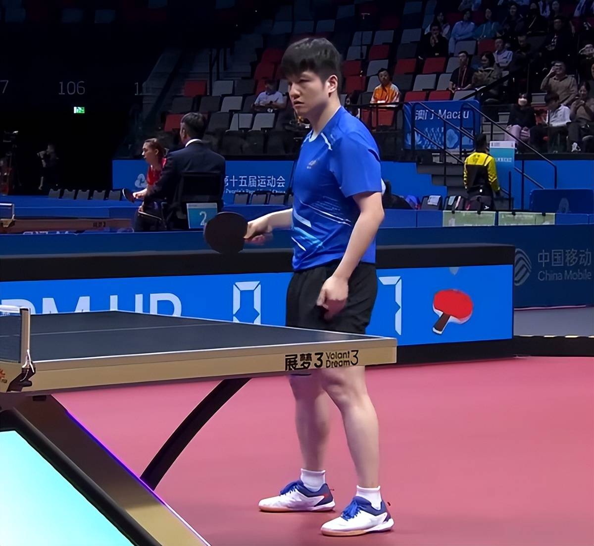 IM体育-韩国队鏖战英格兰队，樊振东统治全场