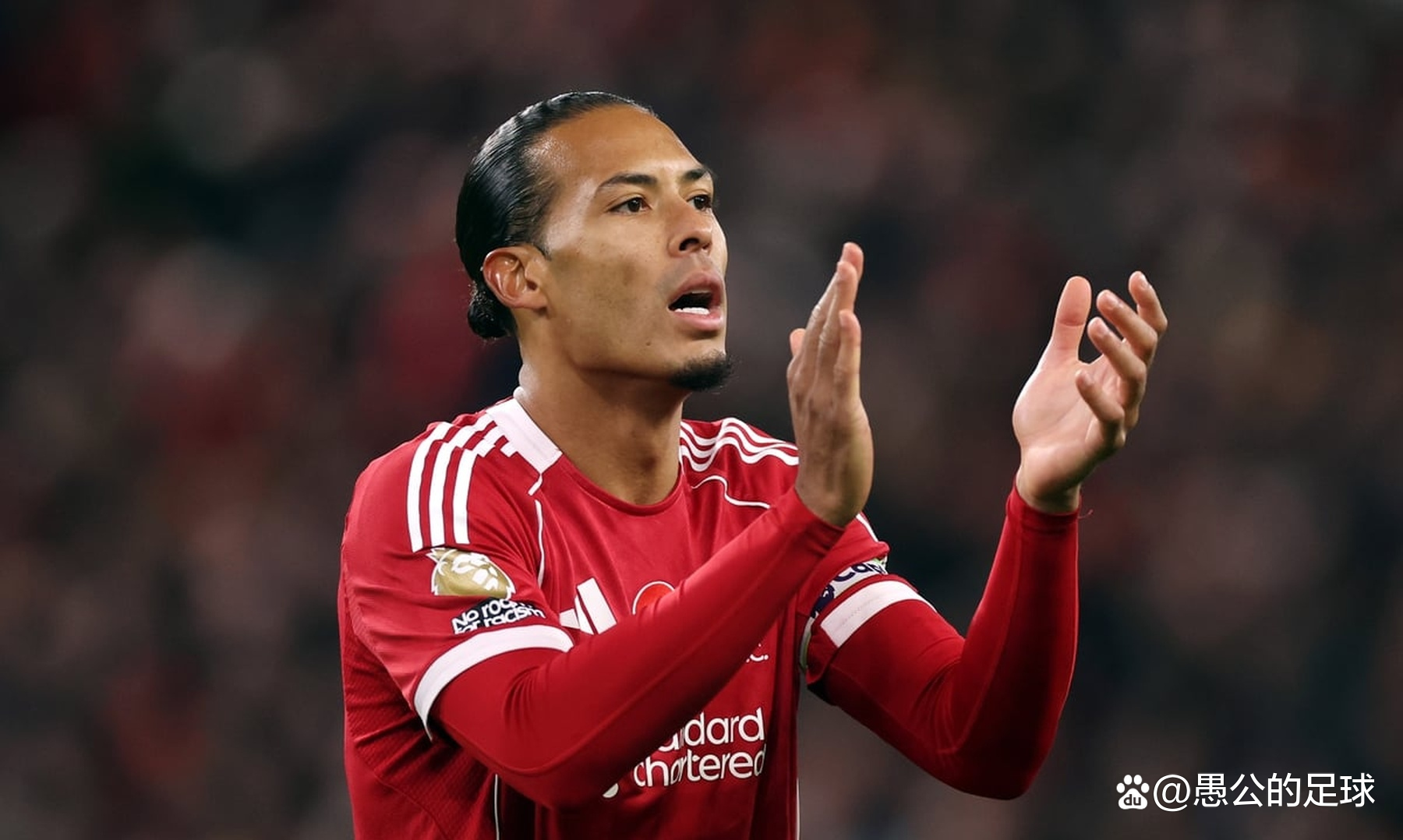 IM体育官方网-阿根廷逆转利物浦，范戴克扛起全队的简单介绍