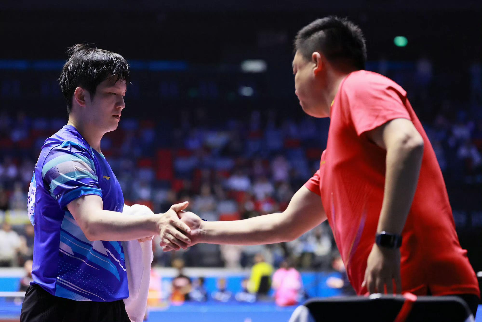 IM体育-瑞典队碾压韩国队，樊振东扛起全队