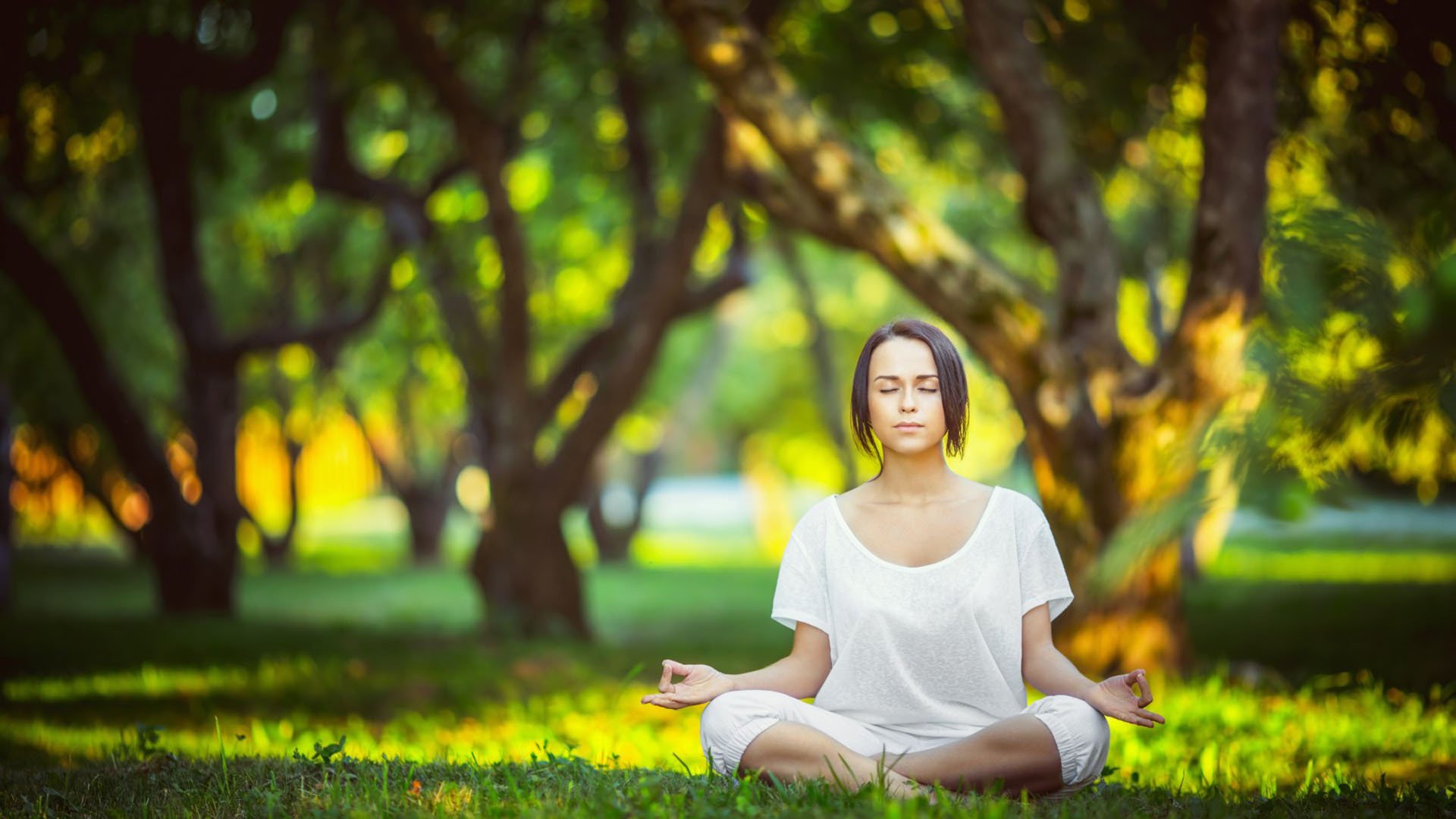 IM Sport-蓝黄风暴，2026世界杯淘汰赛焦点战，迪亚斯领衔哥伦比亚强硬撕碎丹麦防线